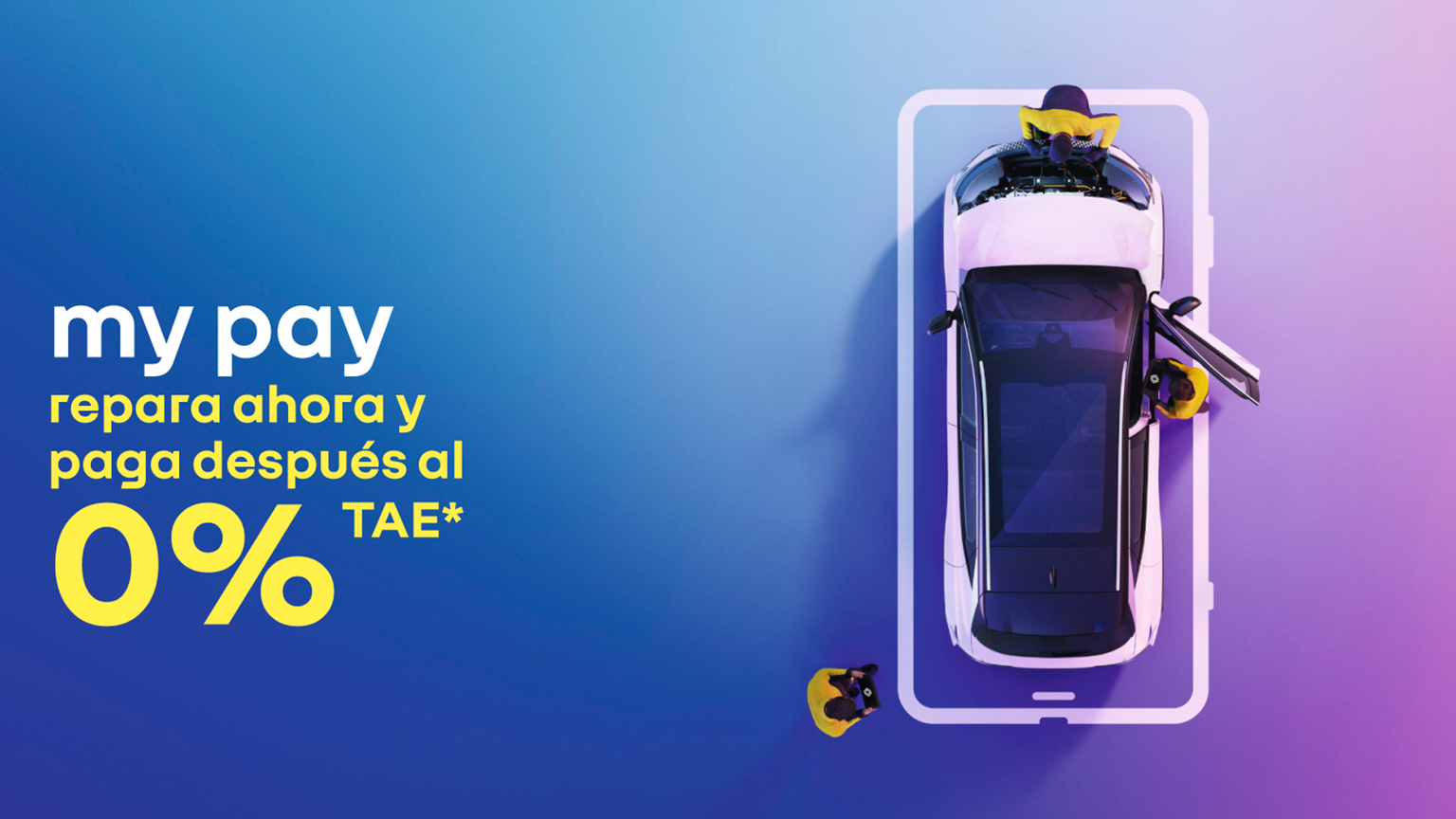 dws news