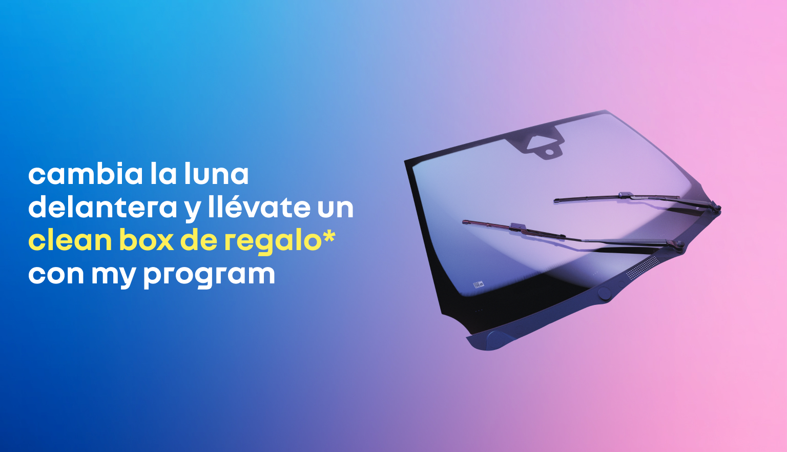 dws news