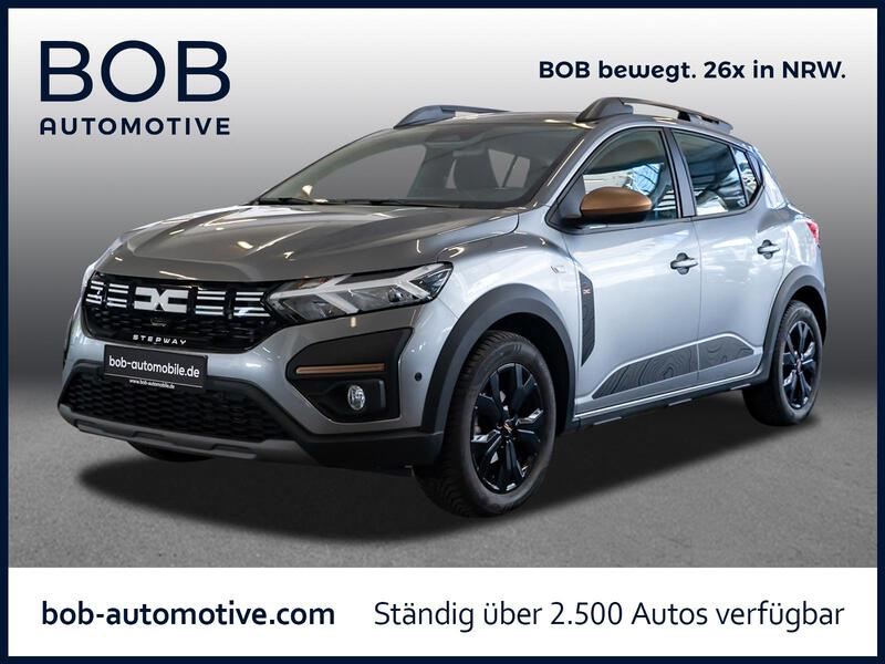Fahrzeugabbildung Sandero SD SHZ PDC BT Bild 1 von 20