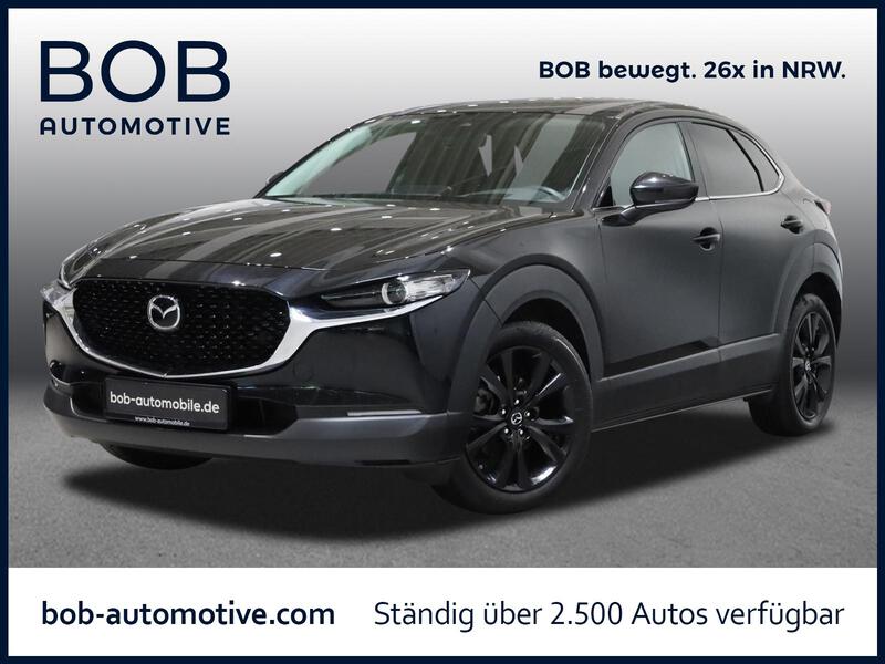 Fahrzeugabbildung CX-30 NAVI RFK TWA SHZ Bild 1 von 15