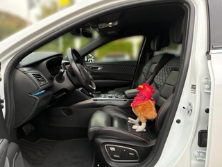 Vehicle 3D Image
