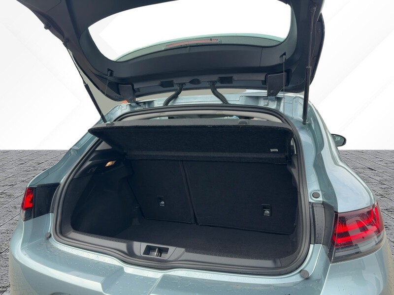 Fahrzeugabbildung Megane ABS Fahrerairbag Bild 6 von 21