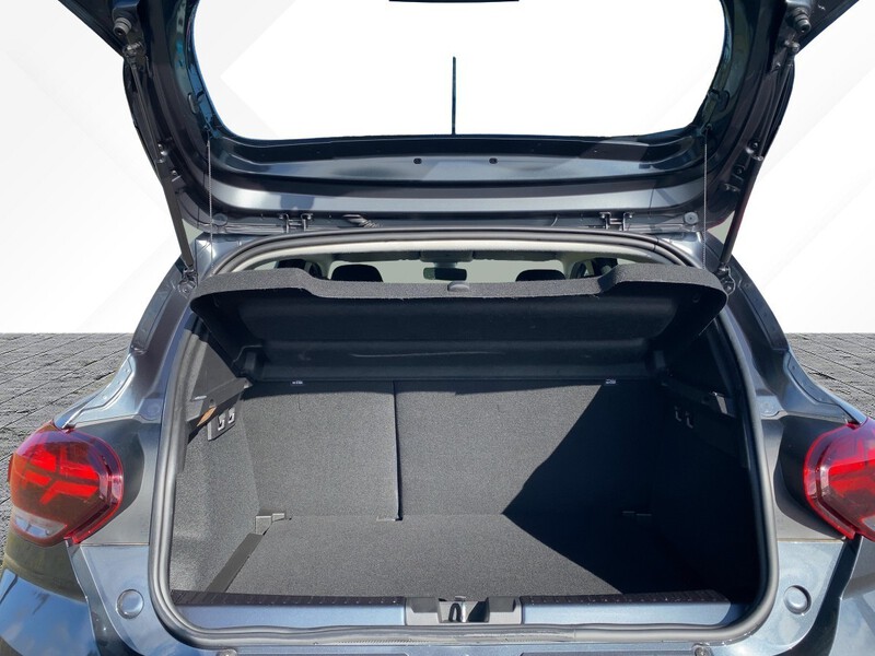 Fahrzeugabbildung Sandero ABS Fahrerairbag ZV Bild 6 von 20