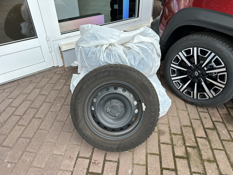Fahrzeugabbildung Clio Scheckheft PDC hi Bild 20 von 20