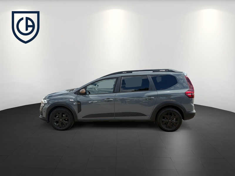 Fahrzeugabbildung Jogger Extreme+ HYBRID 140 Bild 3 von 14