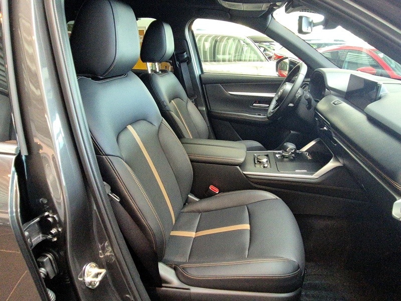 Fahrzeugabbildung CX-80 2.5L e-SKYACTIV PHEV 8AT AWD Homura Bild 7 von 15