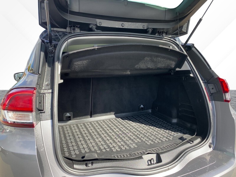 Fahrzeugabbildung Scenic ABS Fahrerairbag ESP NSW Bild 6 von 18