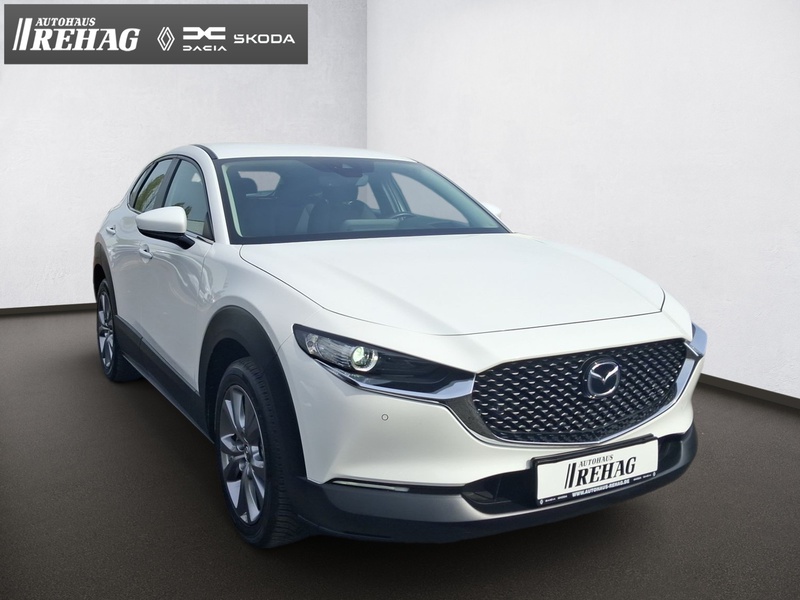 Fahrzeugabbildung CX-30 *KLIMA*KAMERA*NAVI Bild 16 von 16