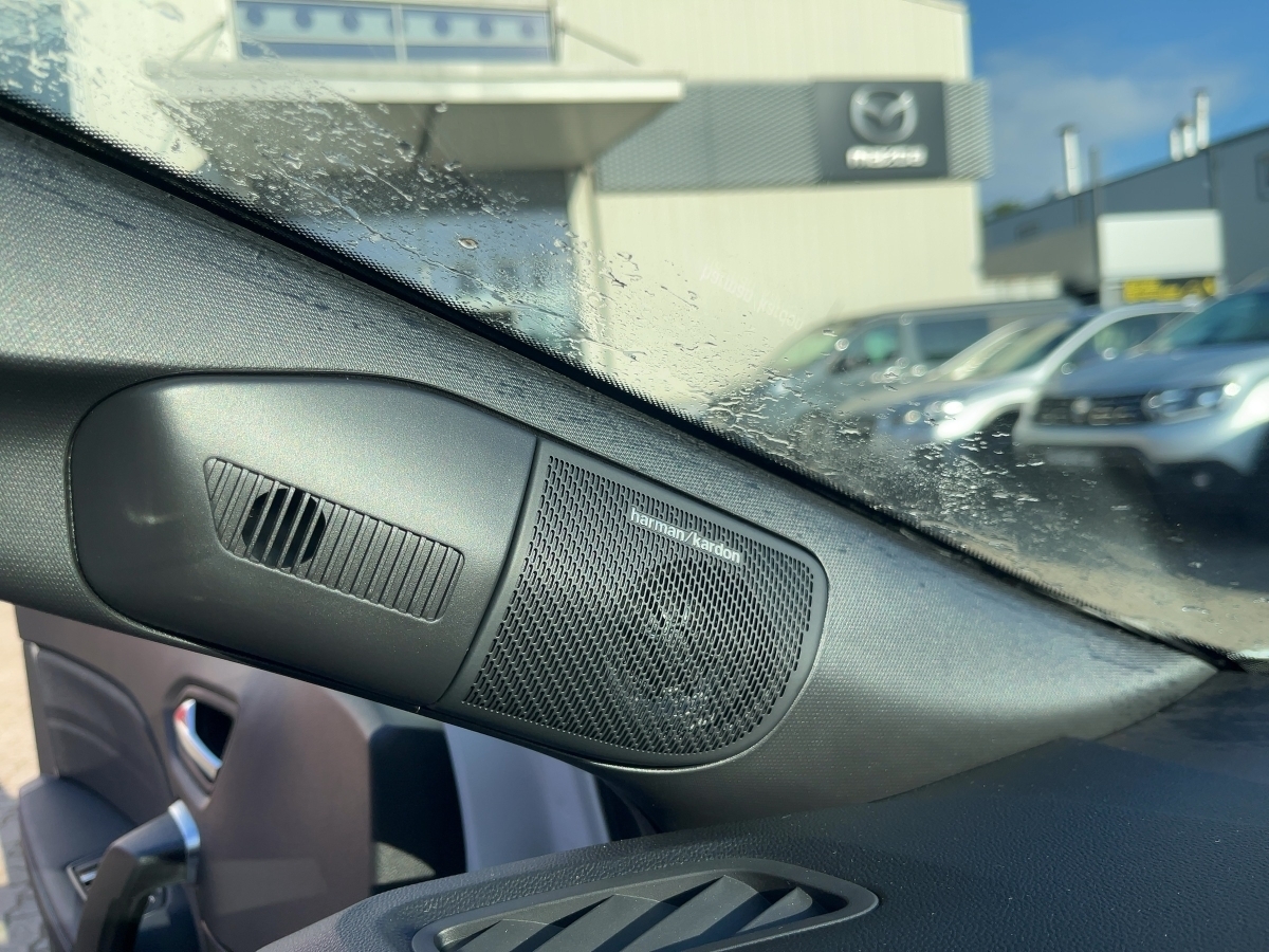 Renault Symbioz – Bild 13