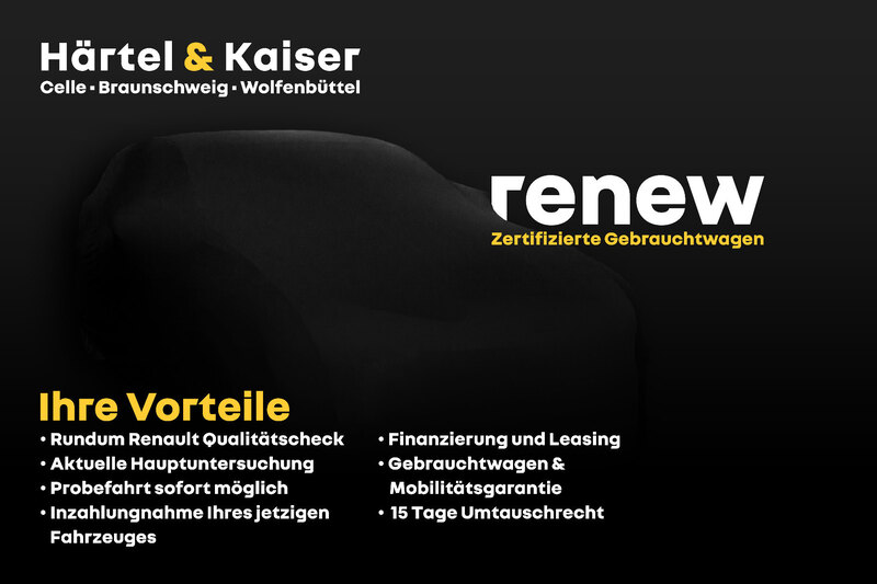 Fahrzeugabbildung Sandero +NAVI+RüKamera+ Bild 17 von 17
