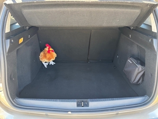 Vehicle 3D Image