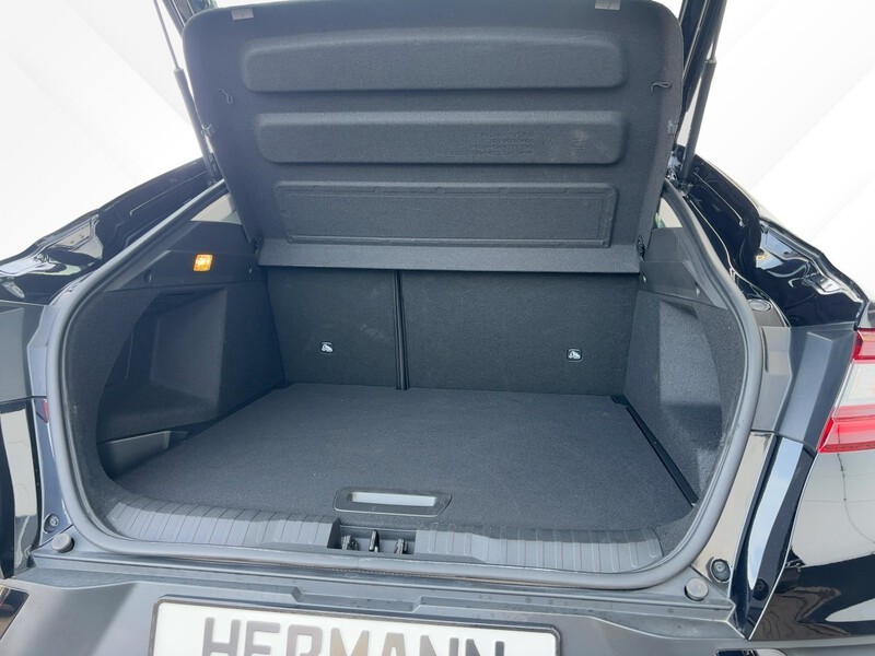 Fahrzeugabbildung Arkana ABS Fahrerairbag Bild 6 von 21