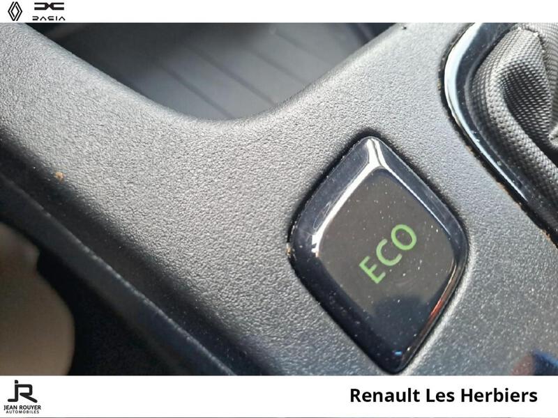 Renault ZOE E-Tech Electrique
