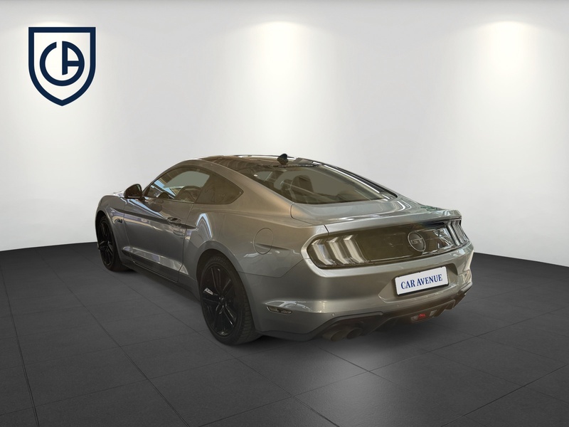 Fahrzeugabbildung Mustang Standhzg Bild 4 von 17