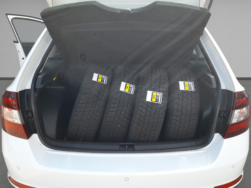 Fahrzeugabbildung Rapid Spaceback (NH)(09.2013 Bild 10 von 15