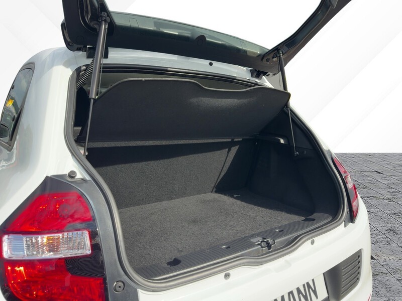 Fahrzeugabbildung Twingo ABS Fahrerairbag ESP SERVO ZV Bild 6 von 19
