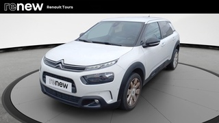C4 CACTUS