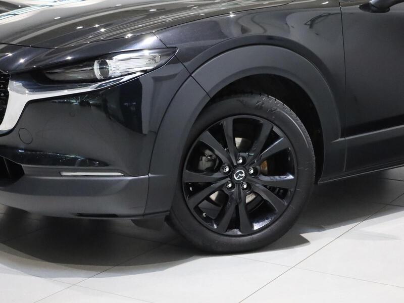 Fahrzeugabbildung CX-30 NAVI RFK TWA SHZ Bild 9 von 15