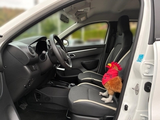 Vehicle 3D Image