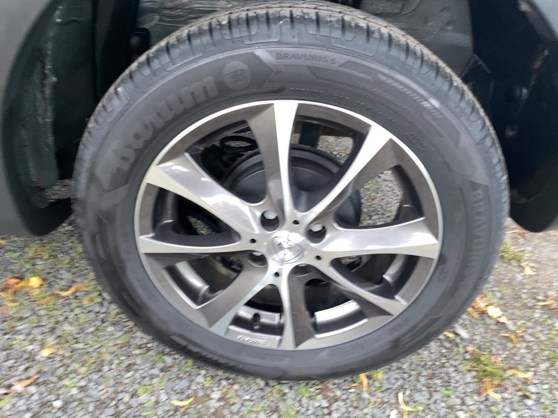 Fahrzeugabbildung Sandero Stepway Celebration TCe 90 Bild 12 von 21