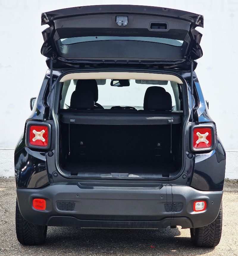 JEEP Renegade 2021 — imagine 9