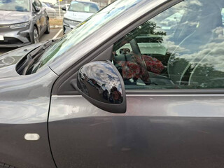 Vehicle 3D Image