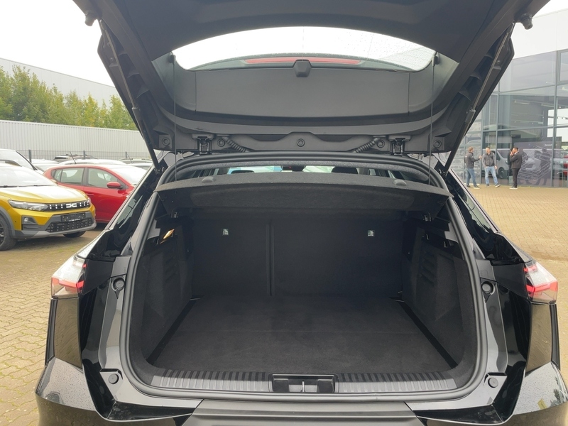 Fahrzeugabbildung Symbioz Evolution Mild Hybrid 140*KAMERA*SHZ*GJR* Bild 13 von 15
