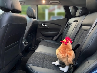 Vehicle 3D Image