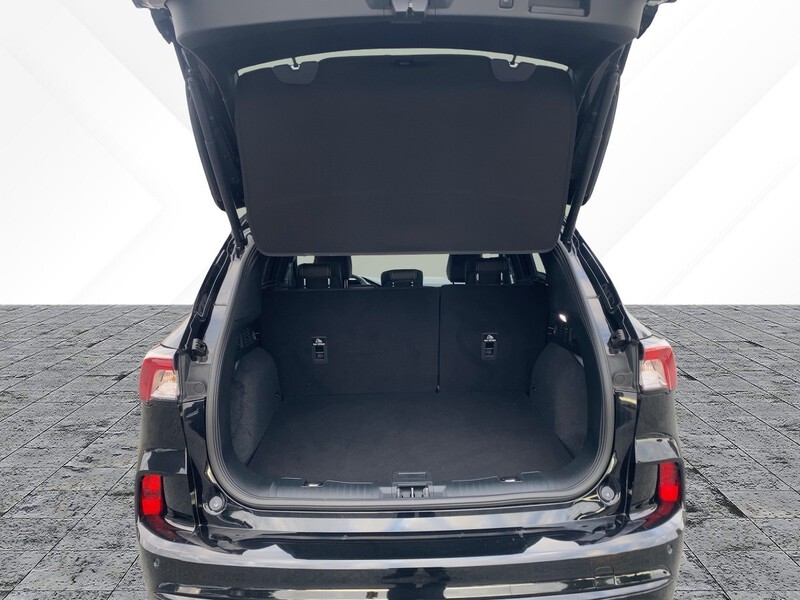Fahrzeugabbildung Kuga VIGNALE 1.5T 150PS FWD Bild 6 von 20