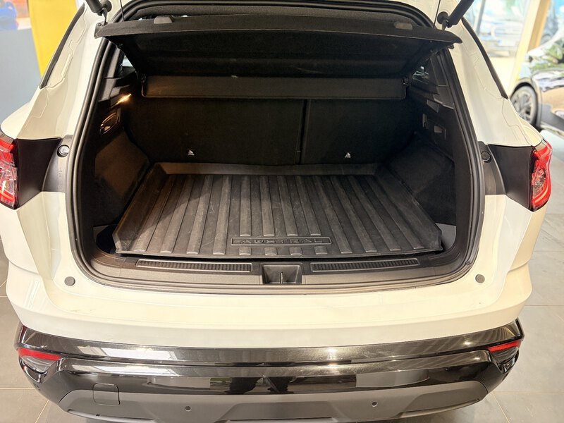 Fahrzeugabbildung Austral Techno Full Hybrid 200 PS Bild 24 von 50