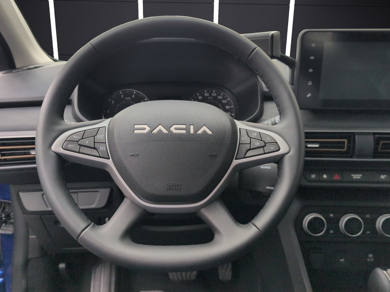 Fahrzeugabbildung Sandero Automatik Sitzheizung Navi Rückfahrkamera Bild 14 von 15