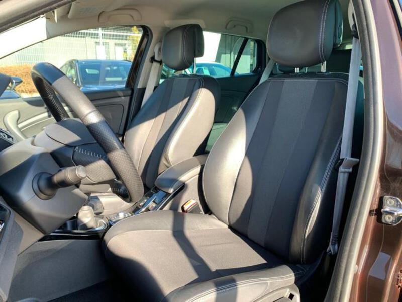 Fahrzeugabbildung Megane Bose Edition Bild 9 von 15