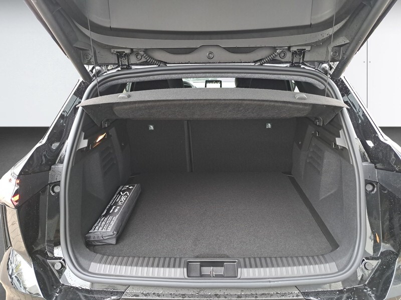 Mitsubishi Grandis