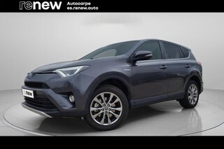 RAV-4