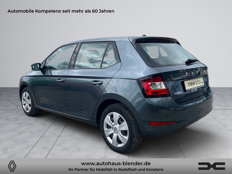 Fahrzeugabbildung Fabia 1.0 TSi Ambition Bild 4 von 14
