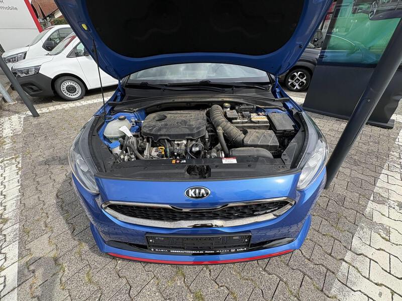 Fahrzeugabbildung ProCeed 1.6 T-GDI GT Bild 16 von 18