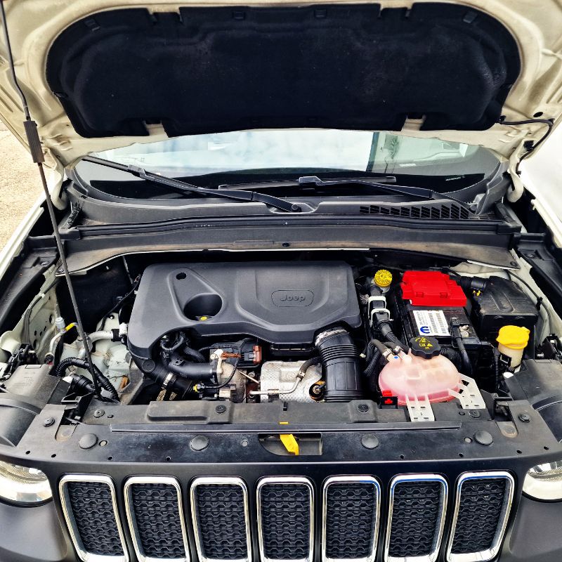 JEEP Renegade 2019 — imagine 70