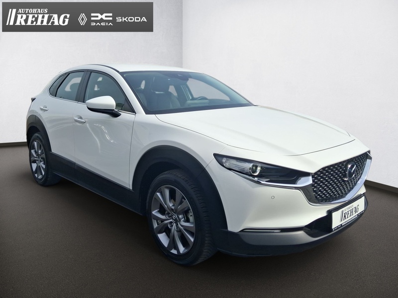 Fahrzeugabbildung CX-30 *KLIMA*KAMERA*NAVI Bild 15 von 16