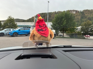 Vehicle 3D Image