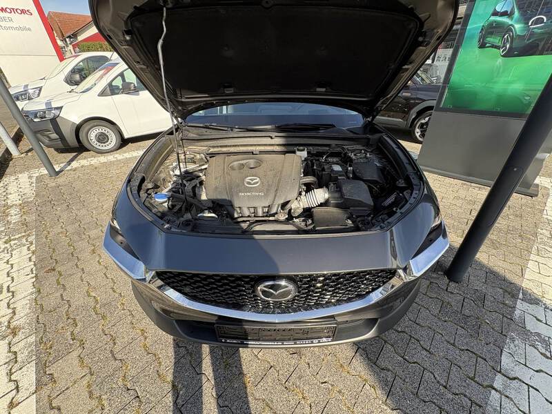 Fahrzeugabbildung CX-30 2.0 SKYACTIV-G M Hybrid 150 Homura 2WD Bild 16 von 18