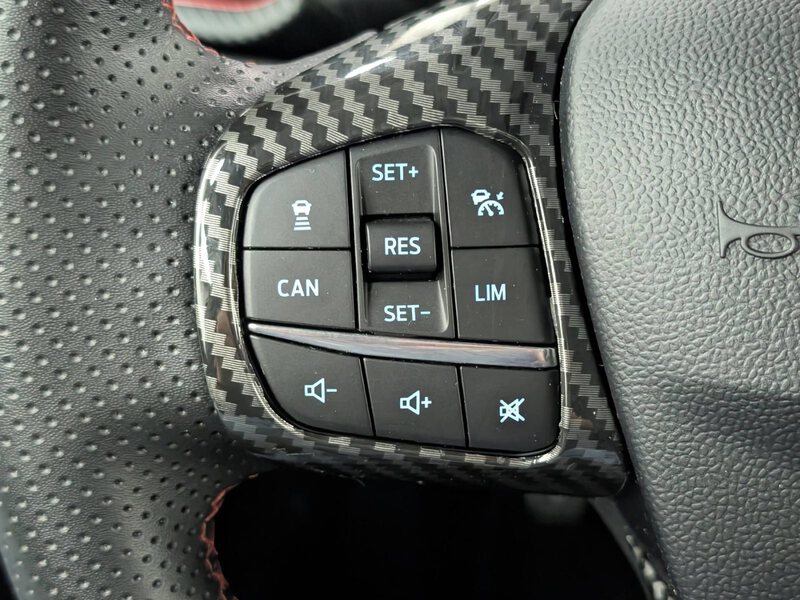 Fahrzeugabbildung Puma 1.0 EcoBoost MHEV ST-Line X Schiebedach Bild 34 von 42