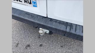 Vehicle 3D Image