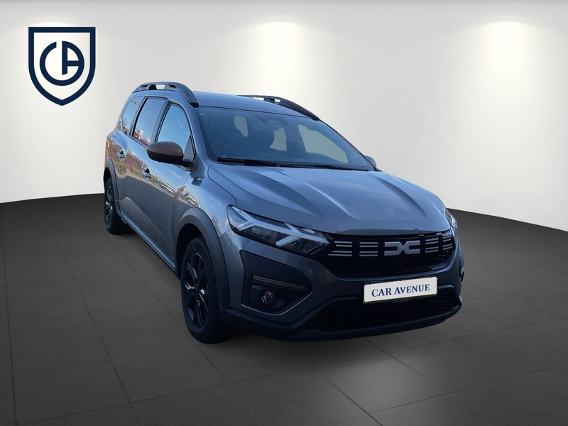 Fahrzeugabbildung Jogger Extreme TCe 110/Kamera Bild 2 von 17
