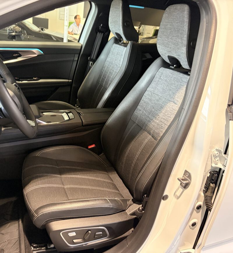 Fahrzeugabbildung Austral Techno Full Hybrid 200 PS Bild 30 von 50