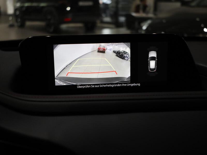 Fahrzeugabbildung CX-30 NAVI RFK TWA SHZ Bild 15 von 15
