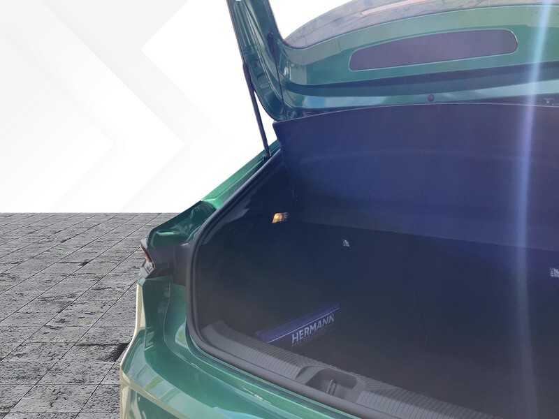Fahrzeugabbildung Clio Fahrerairbag Bild 6 von 20
