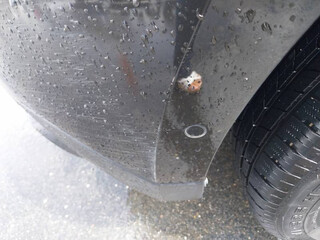 Vehicle 3D Image