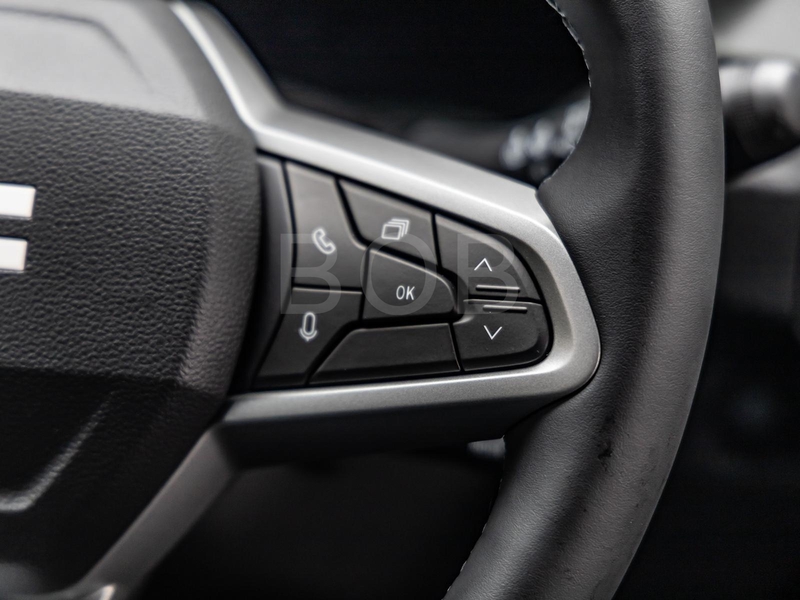 Fahrzeugabbildung Duster NAVI SHZ PDC BT, 8-fach bereift Bild 10 von 15