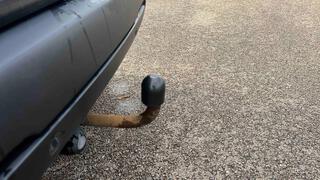 Vehicle 3D Image