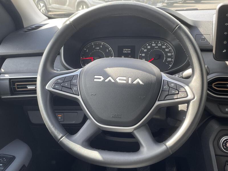 Fahrzeugabbildung Sandero Stepway Extreme+ TCe 110 Bild 14 von 22